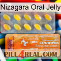 Nizagara Oral Jelly new05